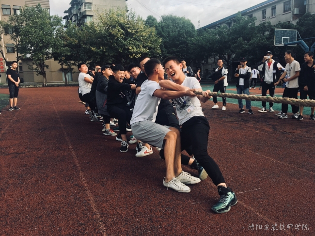 学习中成长  活动中收获